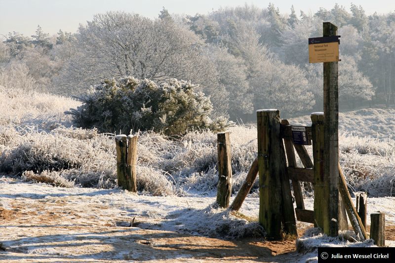 Winter in het natuurgebied Nationaal Park de Veluwezoom.Tip: Handig om mee te nemen als je veel gaat wandelen.